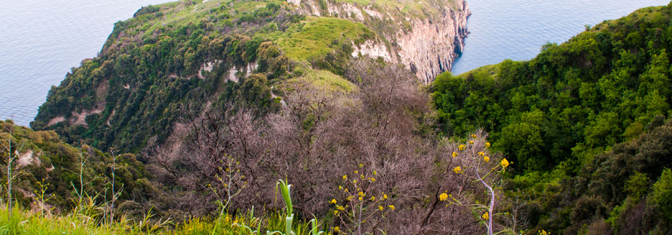 Piano Liguori: il sentiero dell'anima piano-liguori