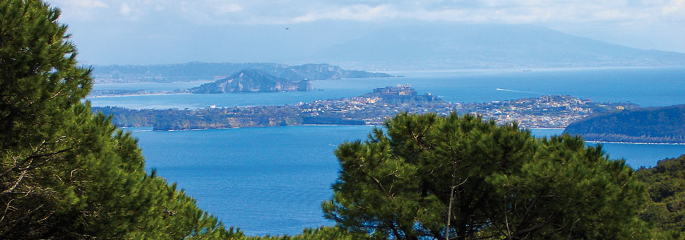 Passeggiando per "Vulcani" vulcani-sentiero
