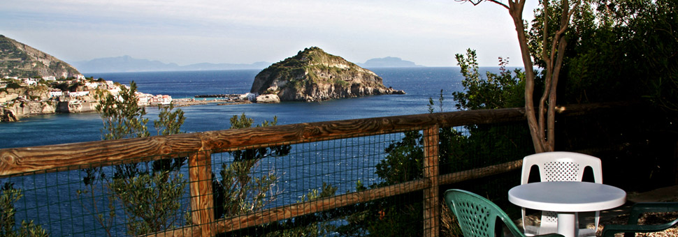 chiarito-top